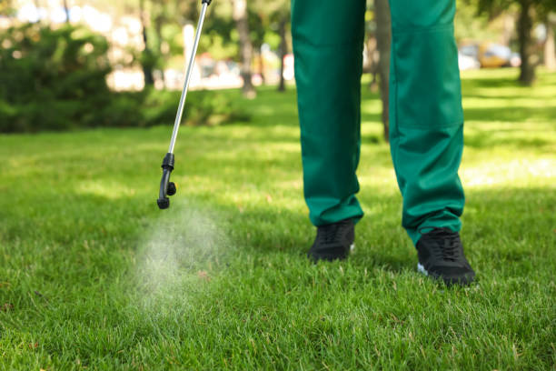 Reliable Aurora, OH Pest Control Solutions