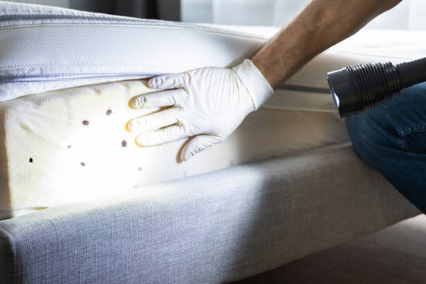 Best Pest Removal Services  in Aurora, OH