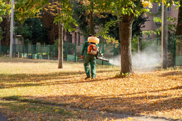 Best Wasp Removal Services  in Aurora, OH