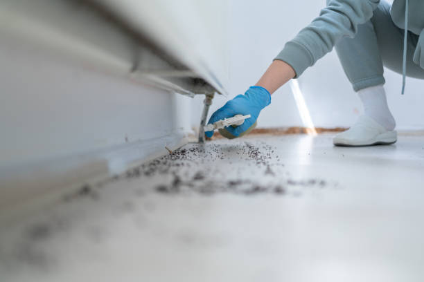 Best Best Pest Control Companies  in Aurora, OH