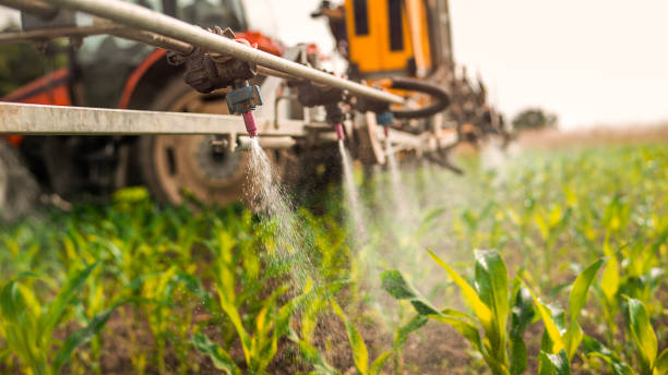 Best Mosquito Control Services  in Aurora, OH